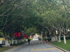-厦门大学(思明校区)