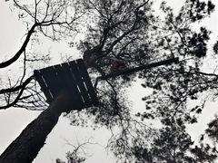 -芦仙山景区-飞越丛林探险乐园