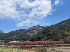 -雁荡山风景名胜区