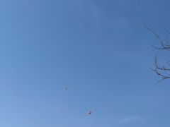 -葛子涧农家宴
