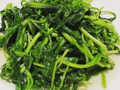 清炒鸡毛菜-小河盐帮·私家菜·烤鸭(三元桥·霄云路店)