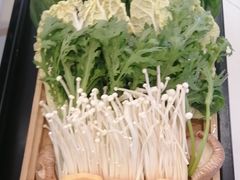 -蝎王府羊蝎子(朝阳北路店)