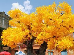 -中华巴洛克风情街