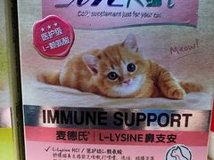 -爱宠屋pet shop·宠物洗澡·宠物美容