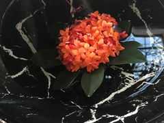 -惠州金海湾嘉华度假酒店