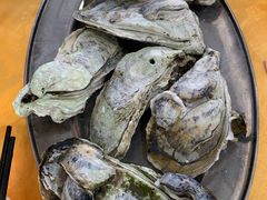 -蚝专家(北滘店)