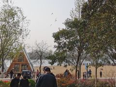 -淇河金沙滩