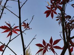 -后襄河公园