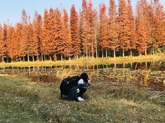 -艾溪湖湿地公园