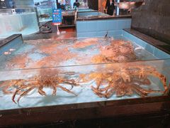 -尚海豆捞(乐虹坊店)