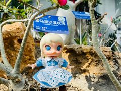 -国家植物园南园