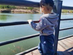 -大兴滨河森林公园