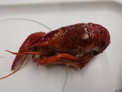 小龙虾-回·龙虾铺·盆盆蟹·烧烤大排档(回龙观店)