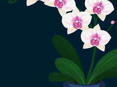 -乐高专卖店(温州万象城店)