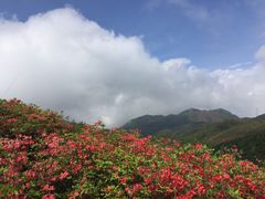 -大围山国家森林公园