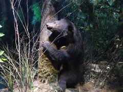 -陕西自然博物馆