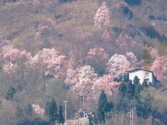 -九皇山景区