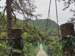 -遂昌金矿国家矿山公园