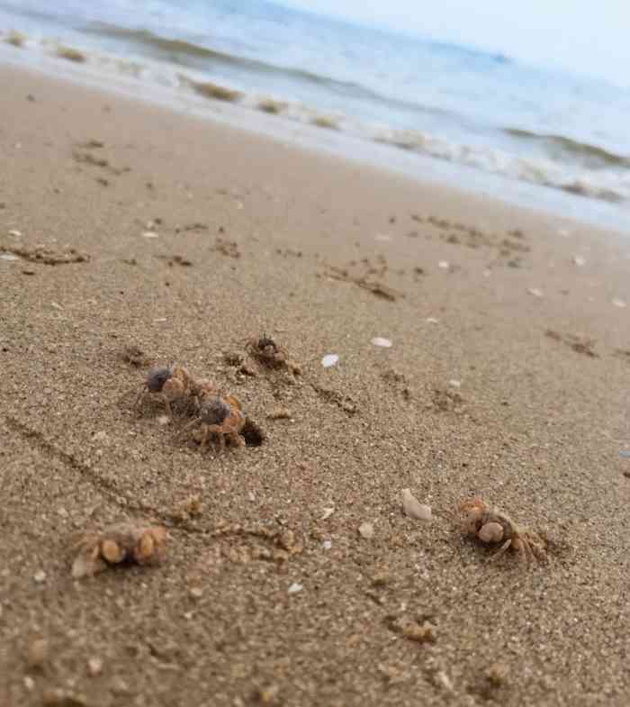 彩虹沙滩-"彩虹沙滩,全名应该是滨海浪漫线,也叫后田.