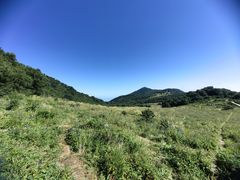 -白草畔自然风景区