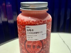 -野萃山·潮汕厚果汁(十亩地店)