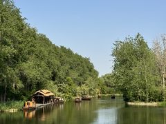 -溱湖国家湿地公园