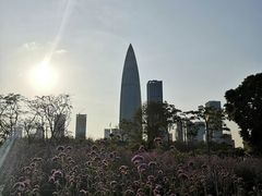 -深圳湾公园(南山区)