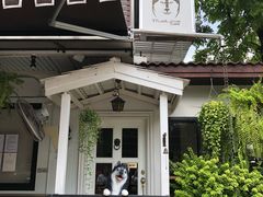 -TrueLove @ Neverland (Husky Cafe)