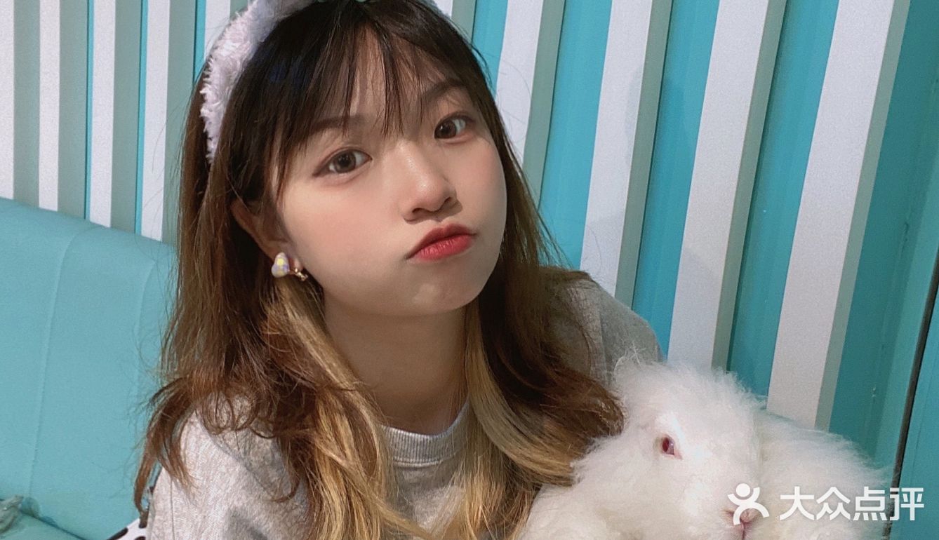 广州新店｜一起去撸可可爱爱的安哥拉巨兔吧🐰