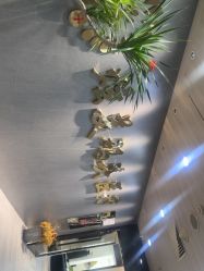 -北京炫美医疗美容