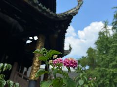 -青羊宫
