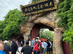 -大槐树寻根祭祖园