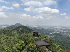 -杭州半山国家森林公园