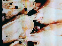 -建国328 本帮小馆·面馆