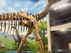 -辽宁古生物博物馆