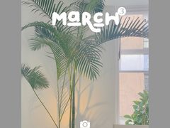 -洪小鹏生活美学馆(领SHOW天地店)