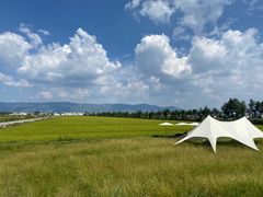 -云琴家·白族石板烧·菌锅(三十九年姐妹传承店)
