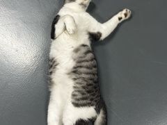 -蓝天射箭馆·专业射箭运动(诚丰广场店)