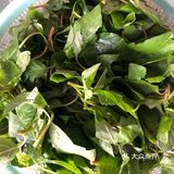 不起眼的蔬菜，养生人的最爱