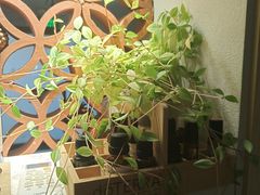 -沐森 •疗愈头疗馆(打浦桥店)