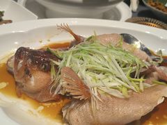 -新雅粤菜馆(南京东路店)