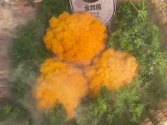 -芸山季·云南野生菌火锅(宝能环球汇店)