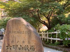 -神户市立六甲山牧场