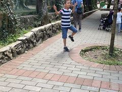 -贵州森林野生动物园
