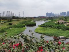 -那考河湿地公园