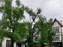 -海天一色海景自助餐厅(西港花园店)