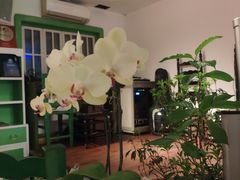 大堂-Carmen卡门西班牙餐厅