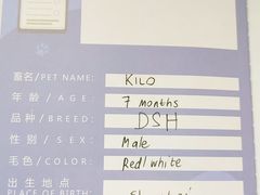 -申普宠物医院·心脏介入·心血管微创(总院)