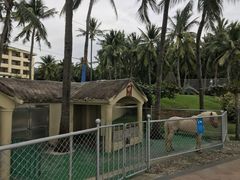 -三亚亚龙湾天域度假酒店