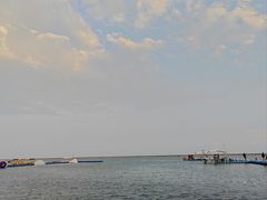 -碧海金沙
